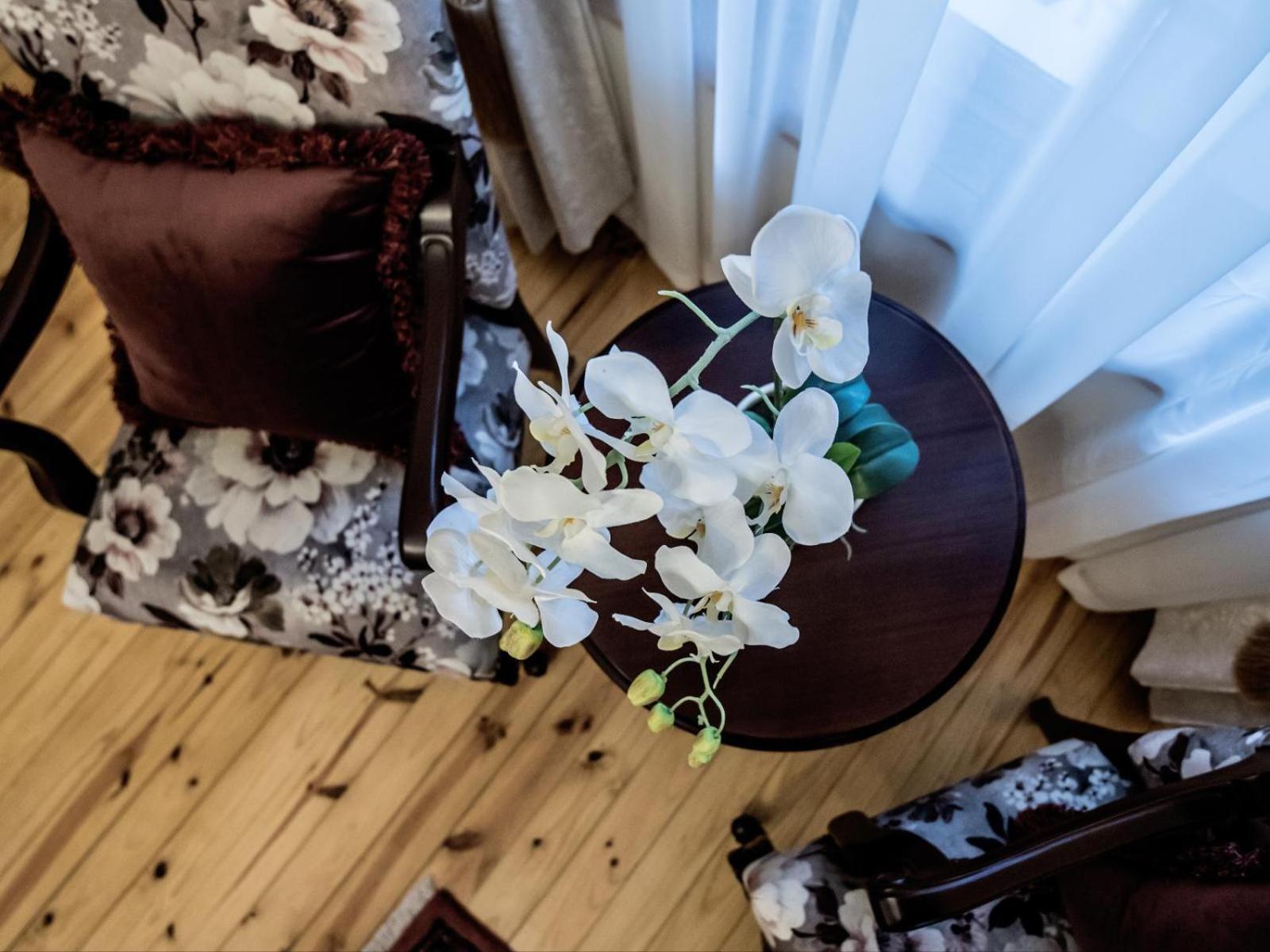 Vier Seisoene Gastehuis Loxton Esterno foto